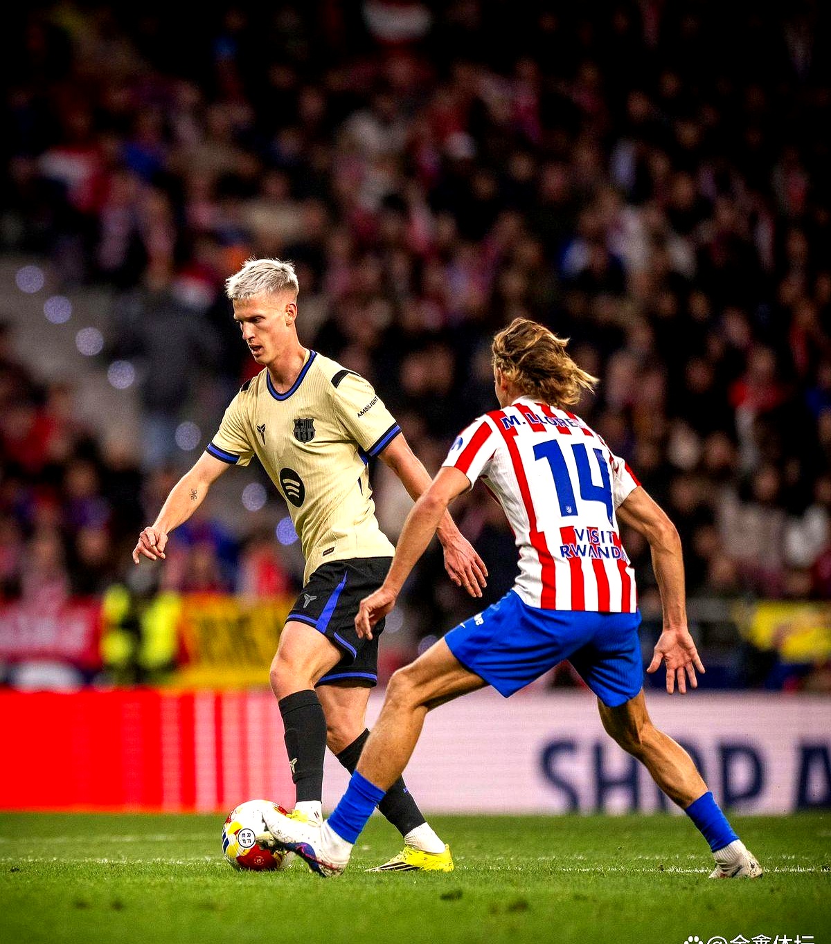 kaiyun-离谱！葡萄牙体育今夜遗憾出局萨克拉门托国王单刀错失备战足总杯，转折点拉齐奥伤情更新